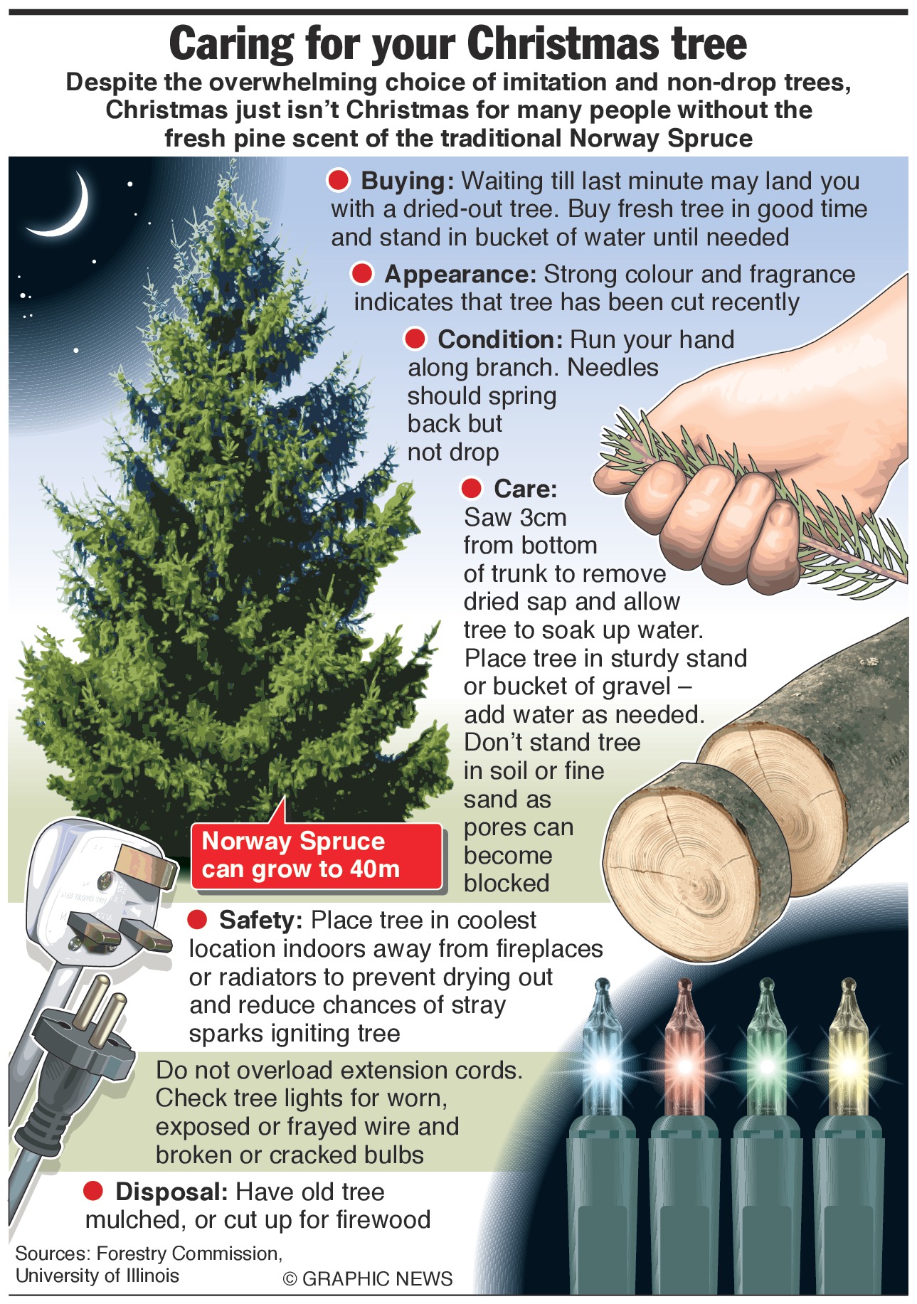 Christmas tree care tips – stop the needle drop – an annotated infographic – Engineering ...